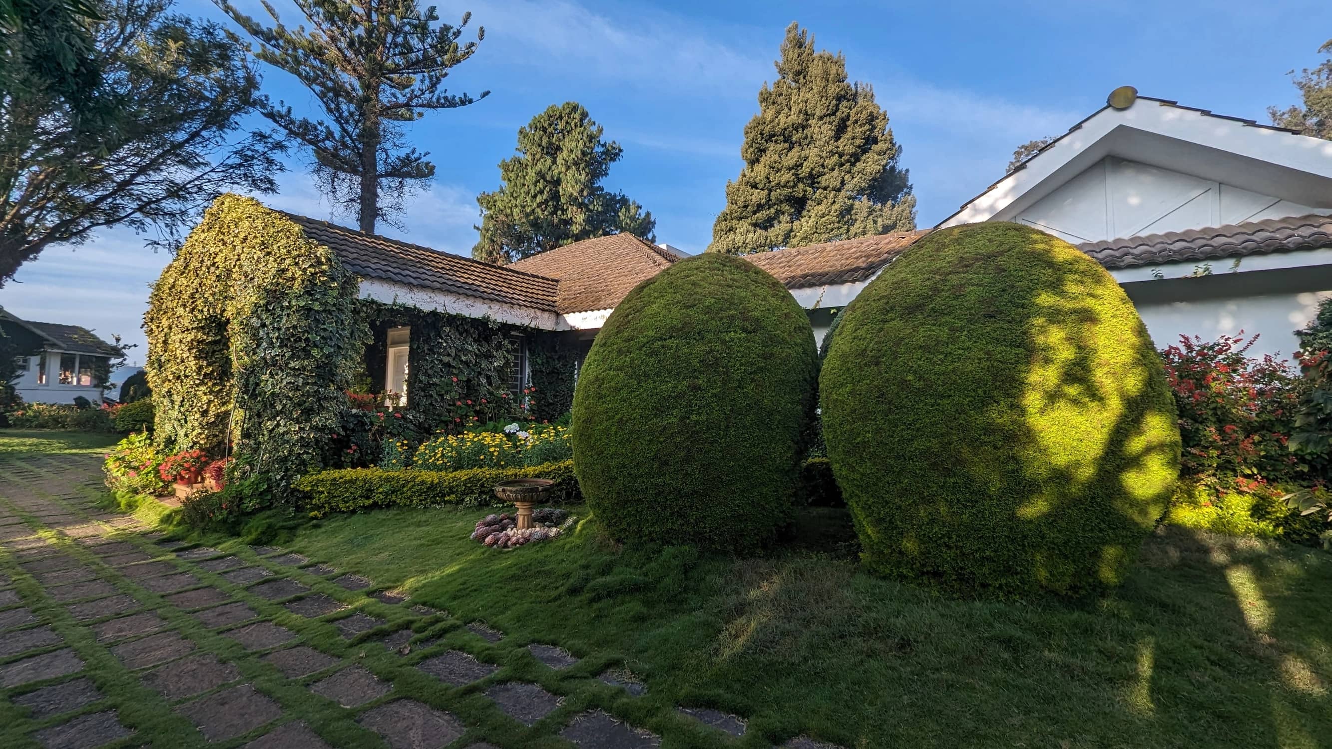 Hideaway Topiary Garden