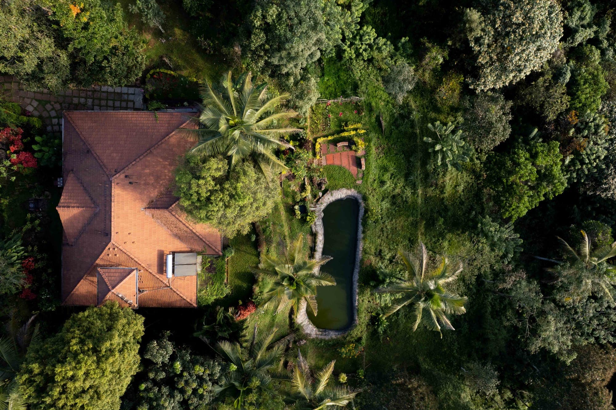 Why a Private Villa in Wayanad is Better Than a Resort Stay Hero
