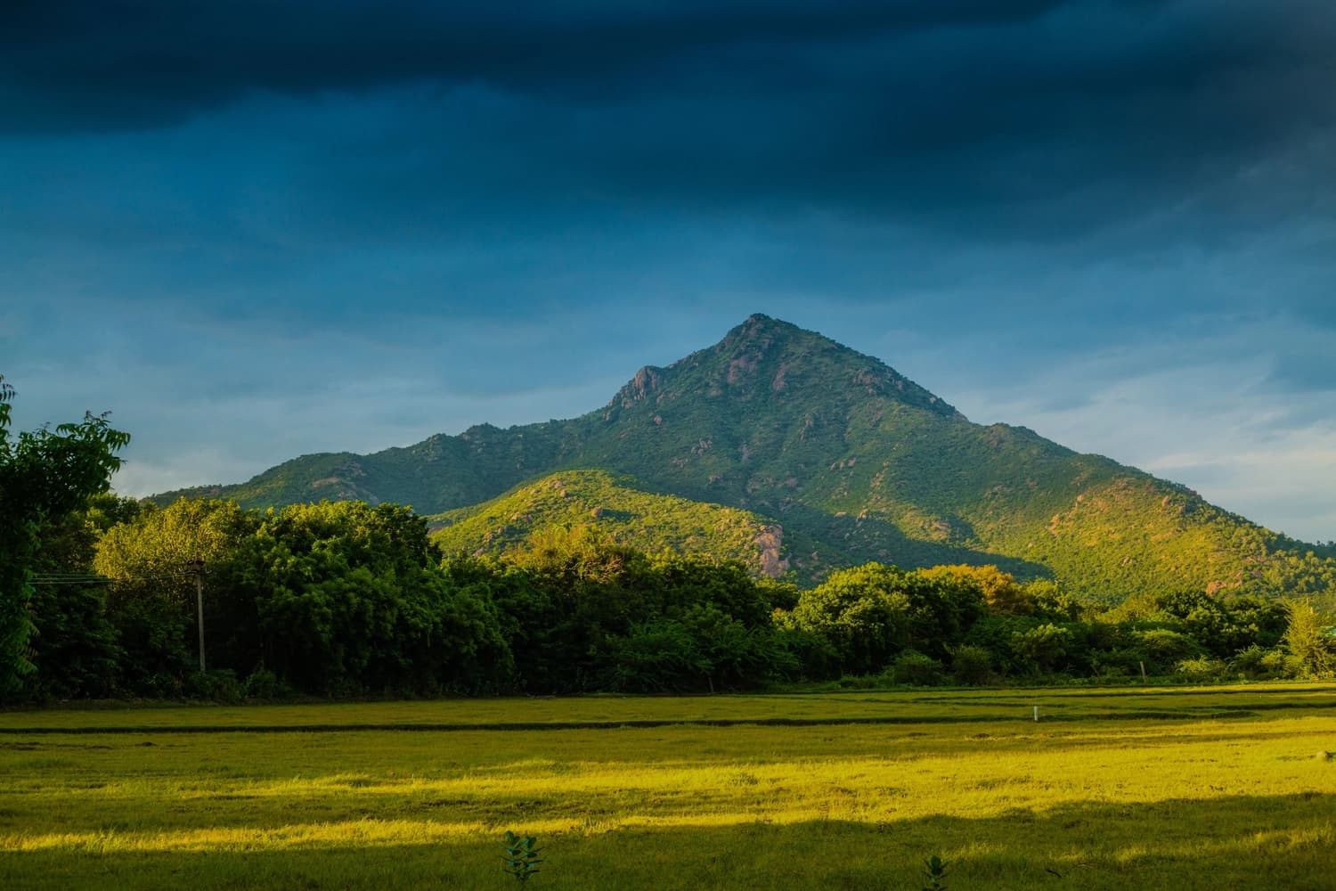 Tiruvannamalai Banner Image