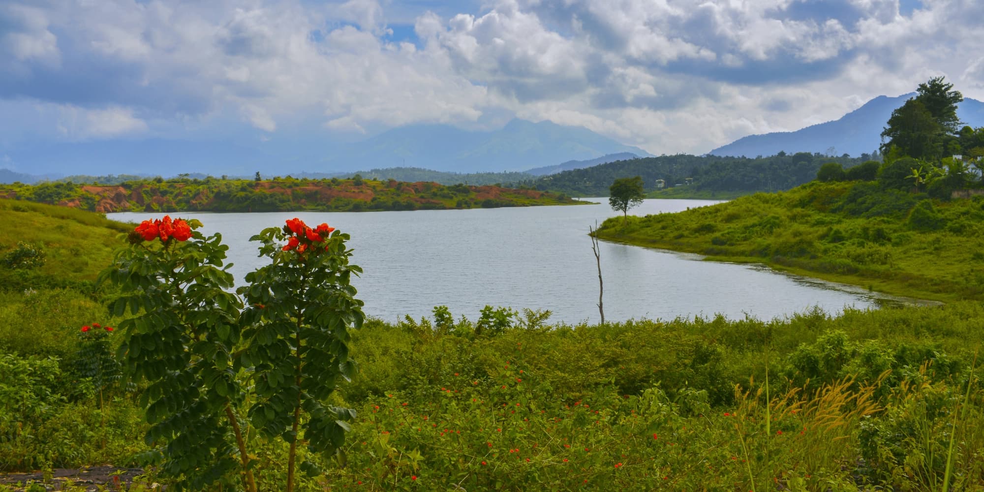 Machare Banner Image