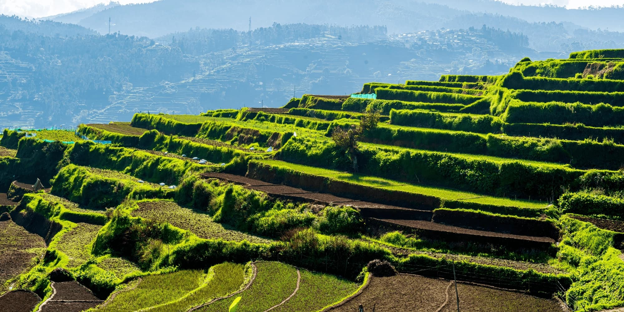 Kodaikanal Banner Image