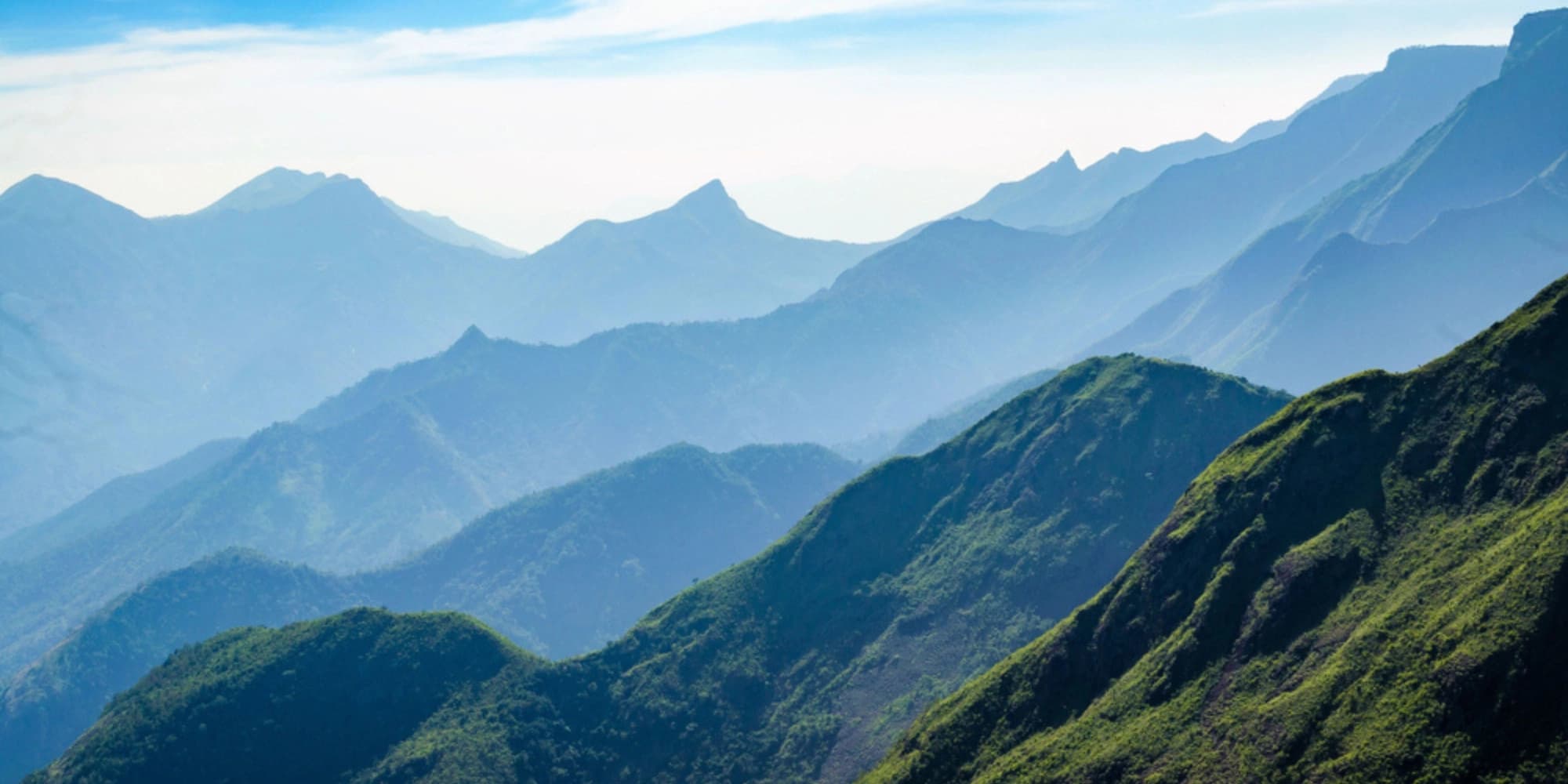 Ooty Banner Image