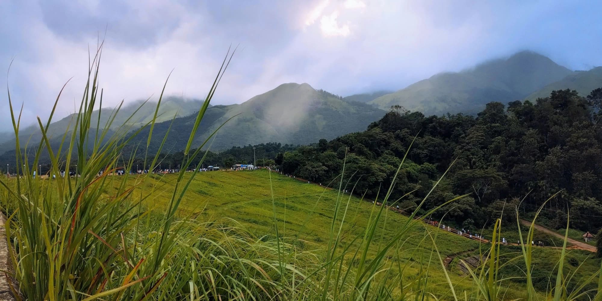 Wayanad Banner Image