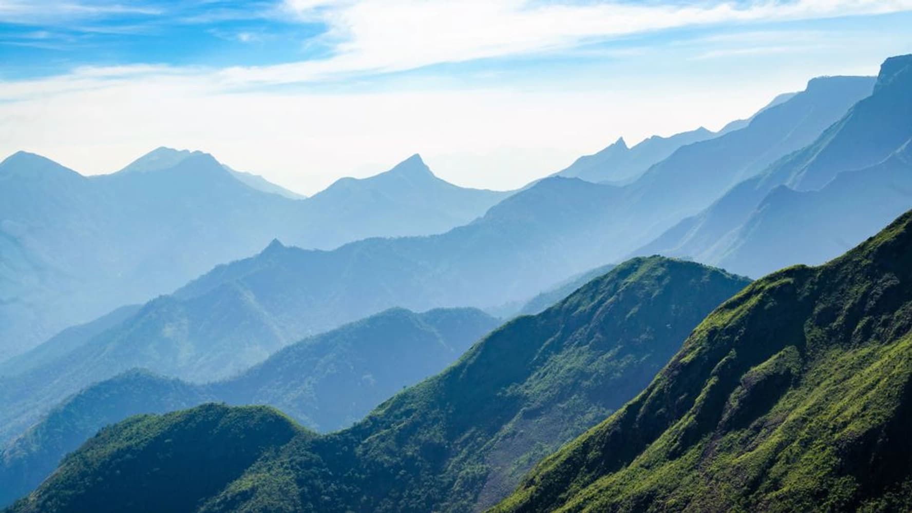 Nilgiris Banner Image