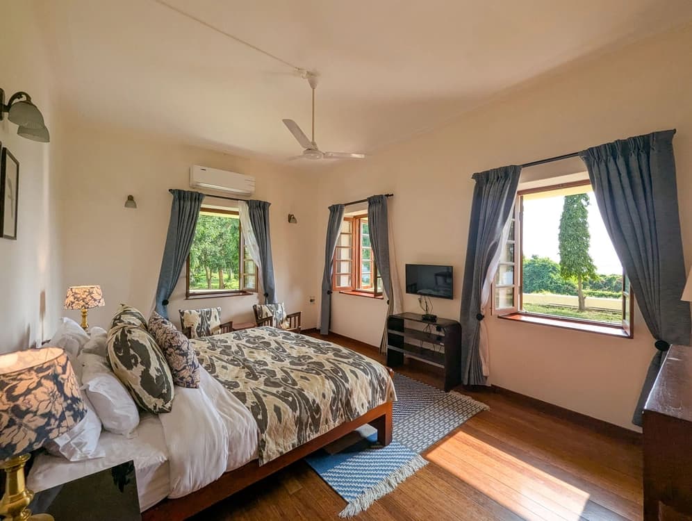 Indigo Suite