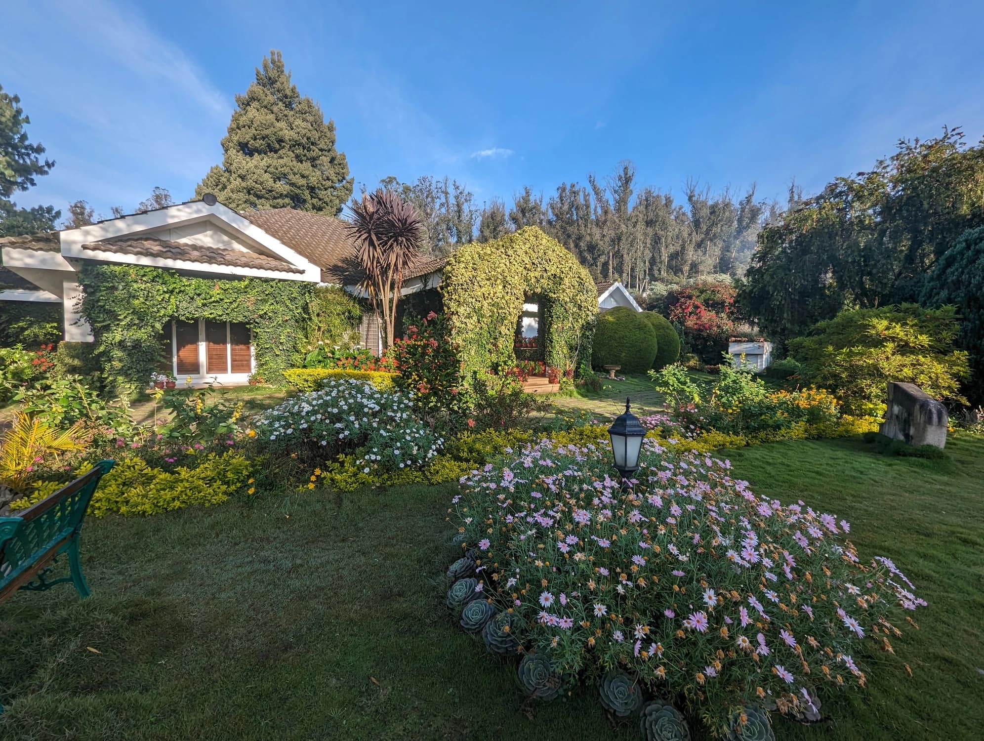 Garden