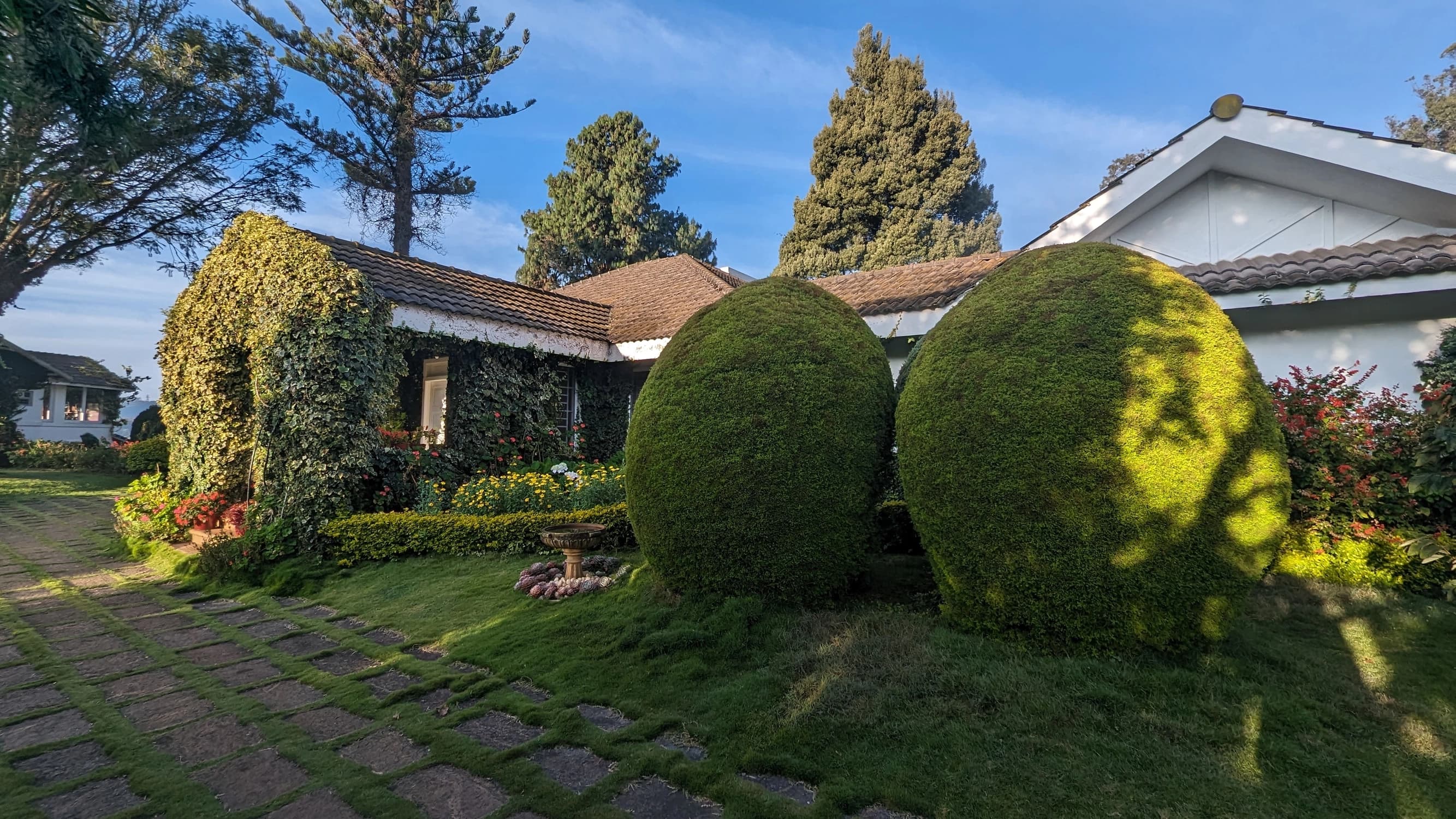Hideaway Topiary Garden