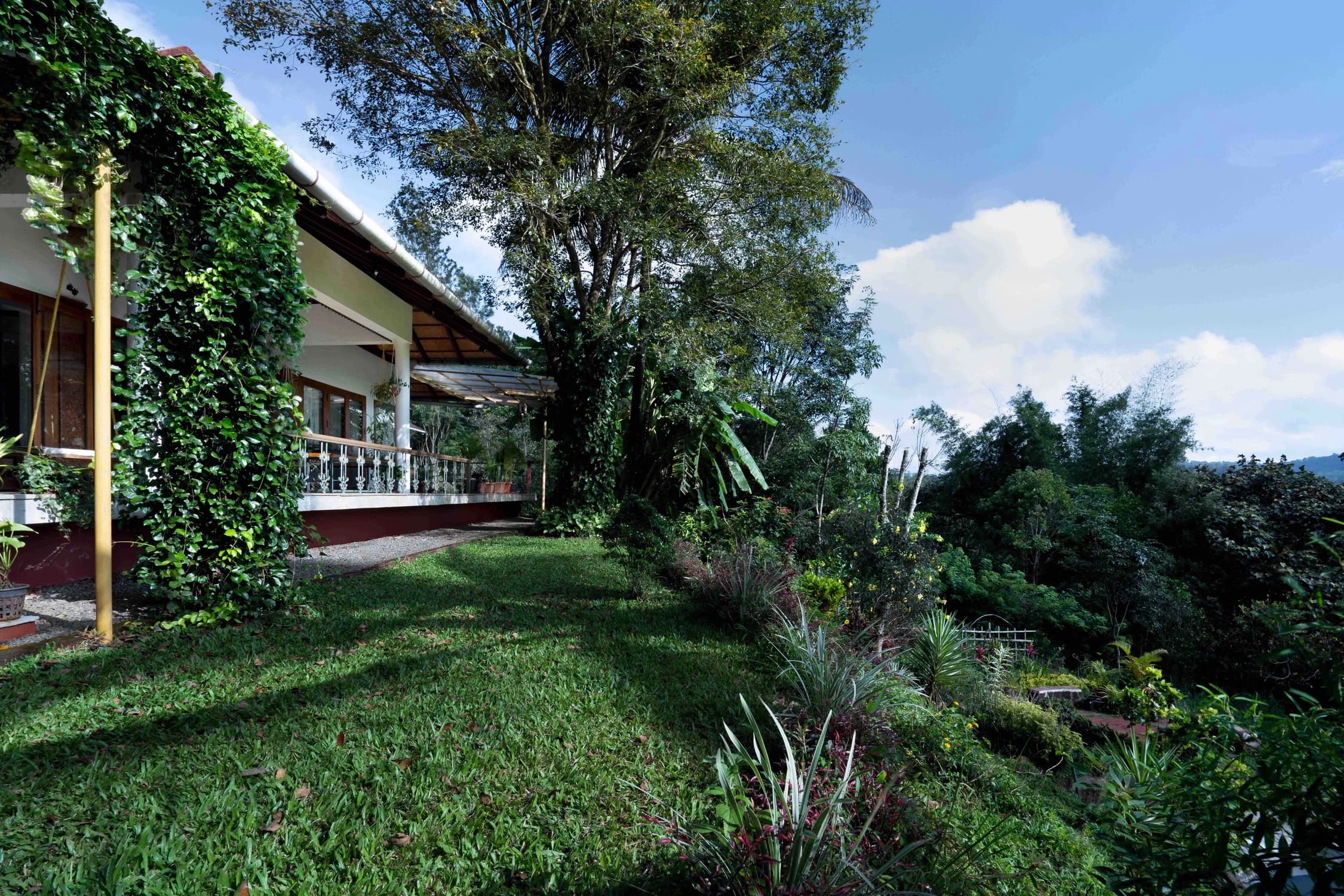 Front Lawn View