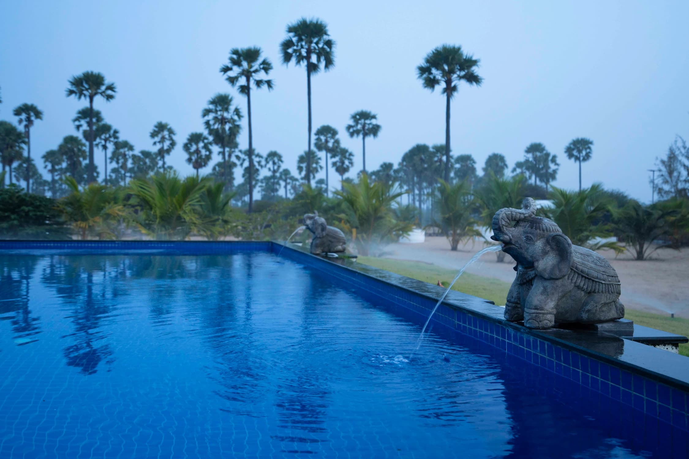 xl_Pool with Palmyrahs